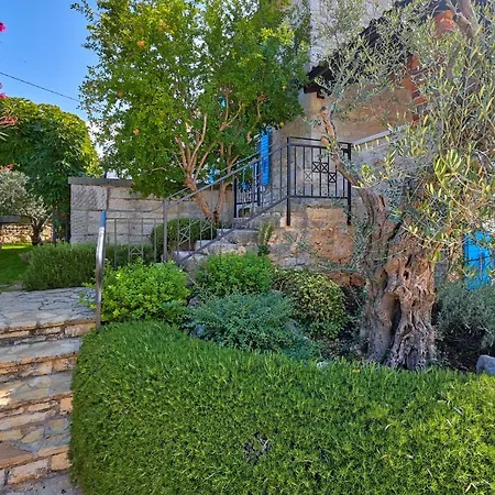 Rustic Simone With Outdoor Pool In Porec Villa