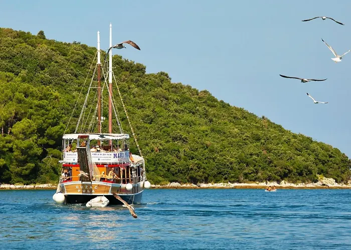 Rustic Simone With Outdoor Pool In Porec Villa *